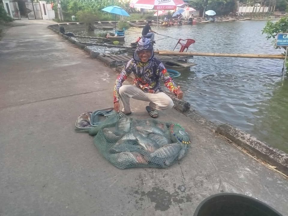 Hỗ trợ cứu hộ Toyota