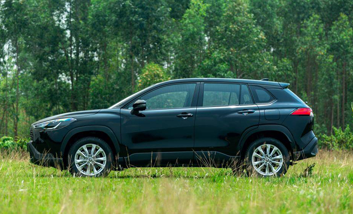 Thiết kế mặt h&ocirc;ng xe 